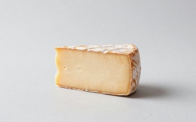 Best Cheese Molds for Artisan Cheese Production