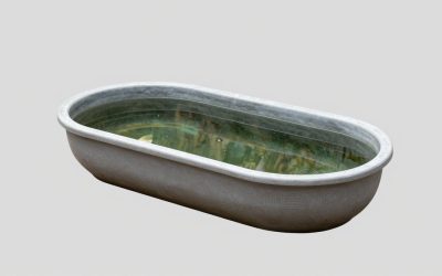 Best Koi Pond Kits for Backyard Ponds