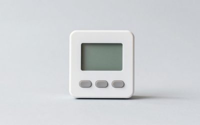 Best Reptile Thermostats for Heat Regulation