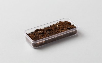 Best Soil Test Kits for Lawns
