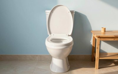Best Waterless Toilets for Cabins and Camping in 2026