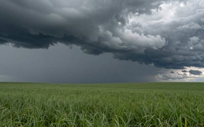 Thunderstorm Anxiety: How to Stay Calm in Storms